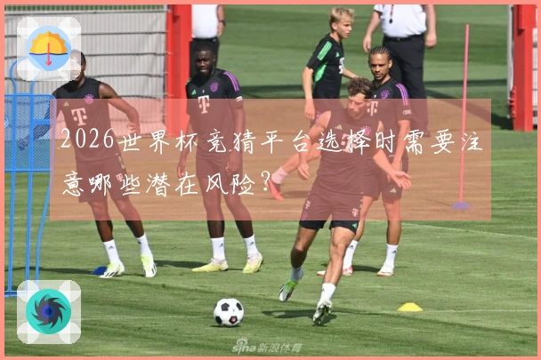 2026世界杯竞猜平台选择时需要注意哪些潜在风险？