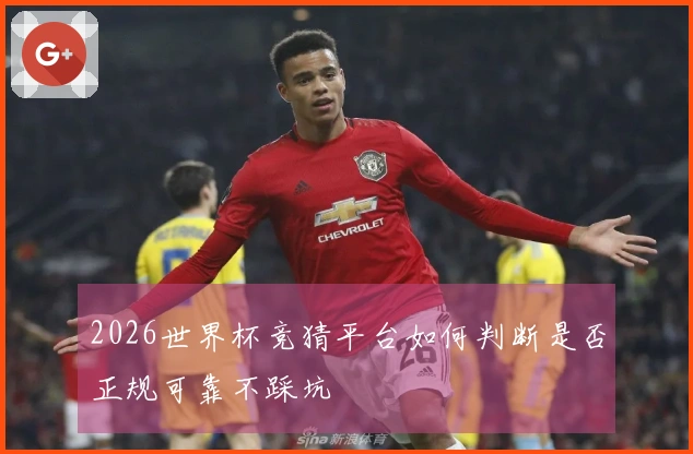 2026世界杯竞猜平台如何判断是否正规可靠不踩坑